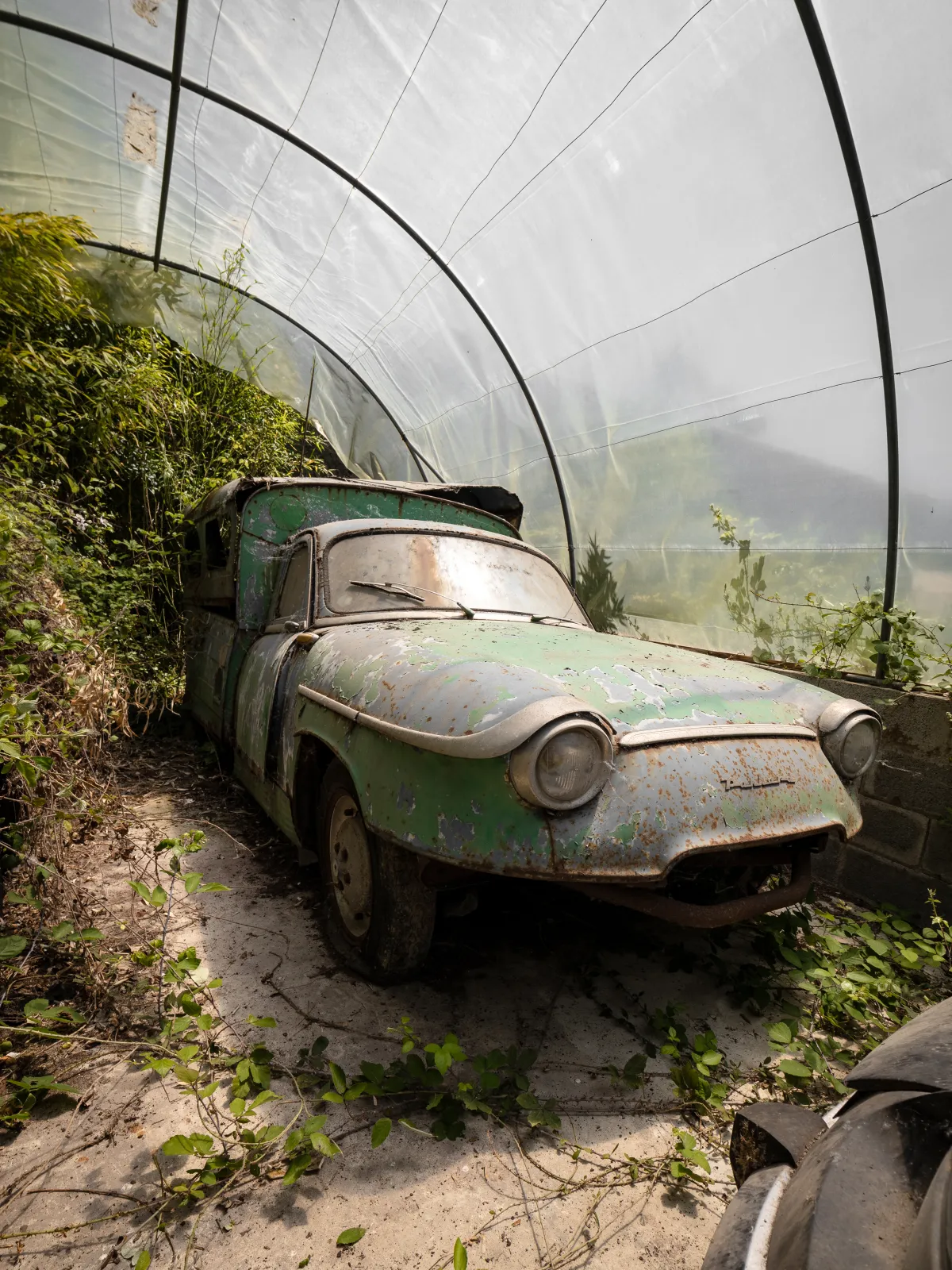 Trésor sous plastique