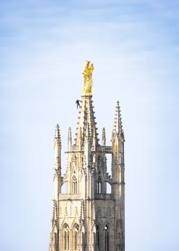 Produit Notre dame d'aquitaine Image